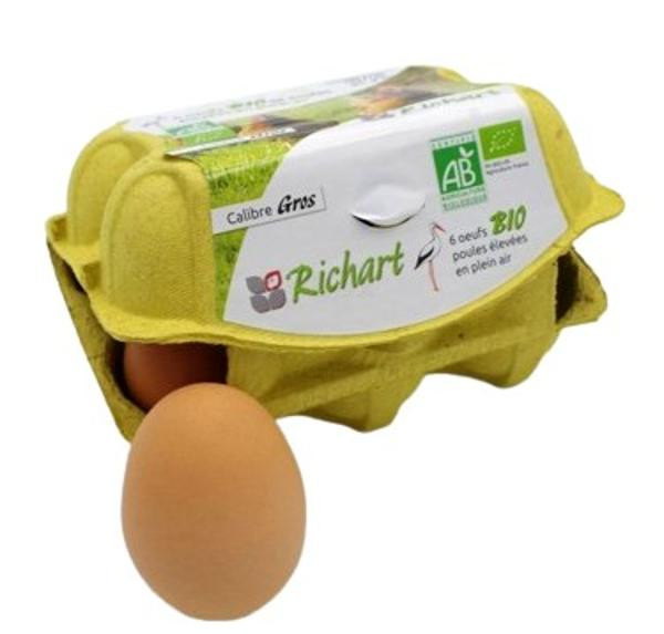 Photo de produit pour Oeufs calibre gros (x6)