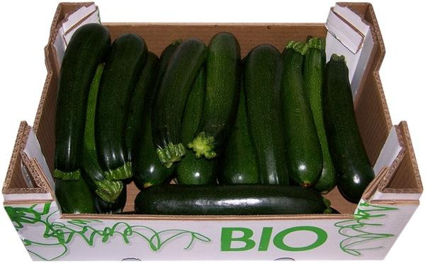 Photo de produit pour Colis de courgette 4kg