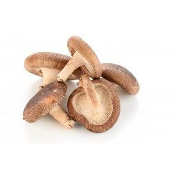 Photo de produit pour Champignon shiitake