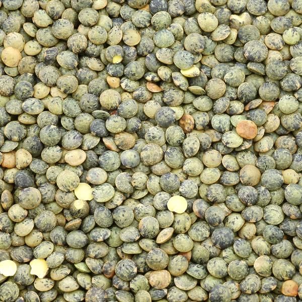 Photo de produit pour Lentilles vertes de 2,5kg