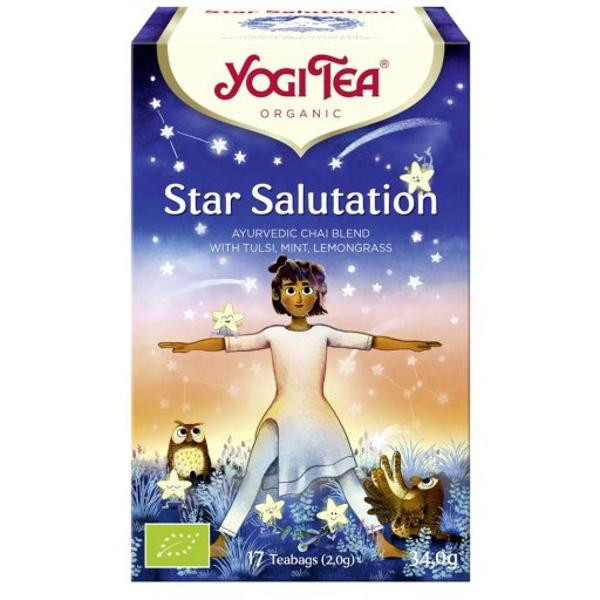 Photo de produit pour Yogi tea Star Salutation