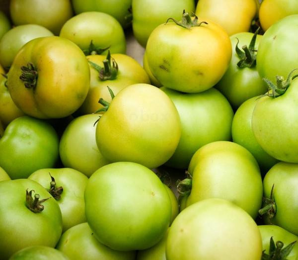 Photo de produit pour Tomates vertes à transformer