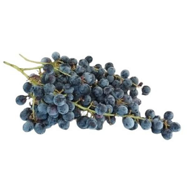 Photo de produit pour Raisin muscat bleu d'Alsace