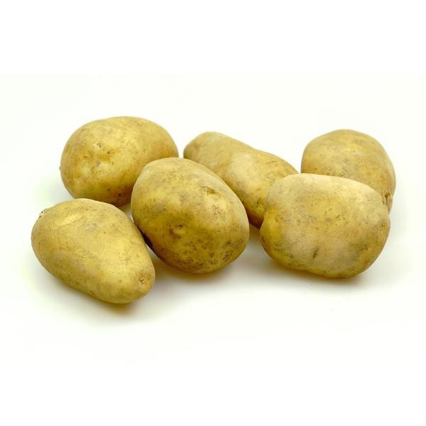 Photo de produit pour Pomme de terre de consommation