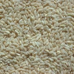 Photo de produit pour Riz à risotto 5kg