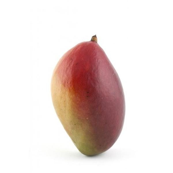 Photo de produit pour Mangue Osteen